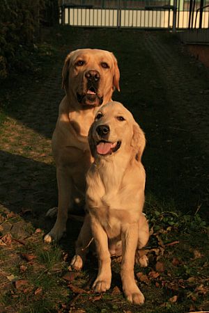 ... společné foto ...